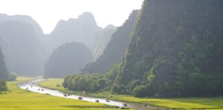 Jak szybko usunąć zapytania w BIK? Jak szybko usunąć zapytania w BIK?