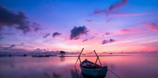 Kto wynalazł wakacje? Kto wynalazł wakacje?