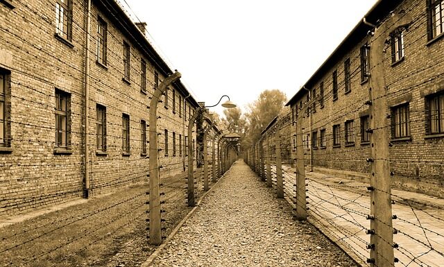 W którym bloku w Auschwitz są włosy?