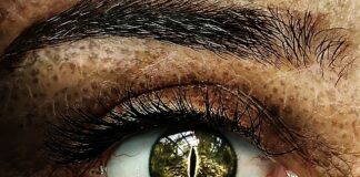 Kto robi dostosowania dla ucznia?