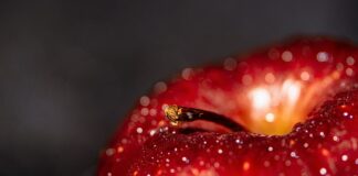 Na czym polegają korzyści skali? Na czym polegają korzyści skali?