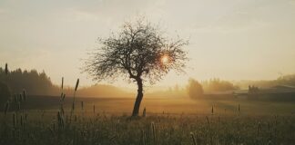 Jak dbać o ranę po zdjęciu szwów?