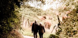 Ile lat wlicza się do emerytury za urodzenie dziecka? Ile lat wlicza się do emerytury za urodzenie dziecka?