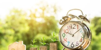 Czym różni się zysk brutto od zysku netto?